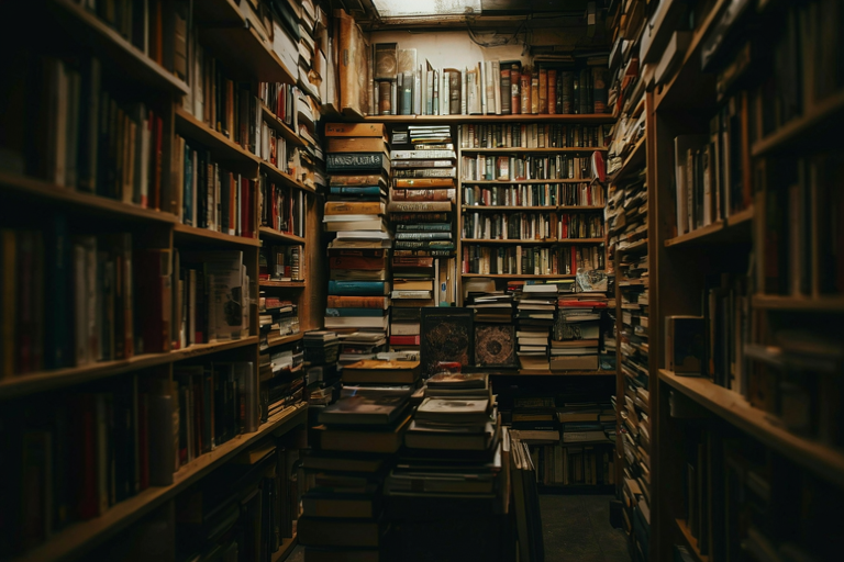 Editorial illustration of a small, independent bookshop interior with densely packed book displays under warm, focused lighting.