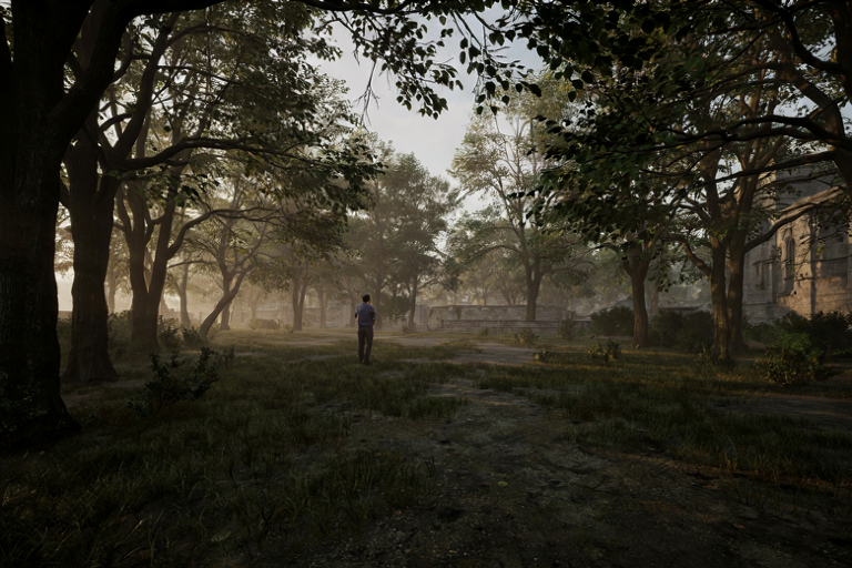 A somber editorial illustration of a quiet, overgrown park area under diffused late afternoon light, conveying a sense of mystery and unresolved investigation.
