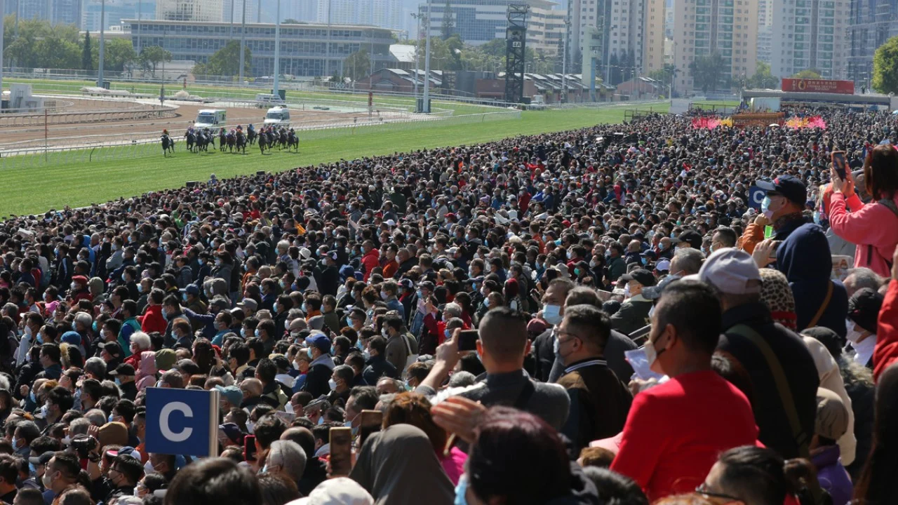 Sha Tin tipsters look to Circuit Champion and a dirt-track improver