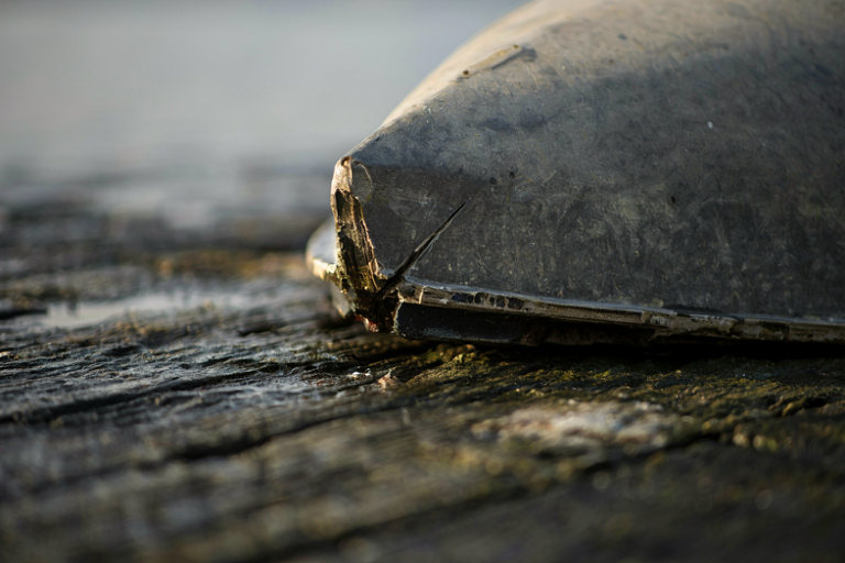 A weathered section of a small dinghy hull rests on a wet wooden dock, showing a sharp mark, under moody, low light.