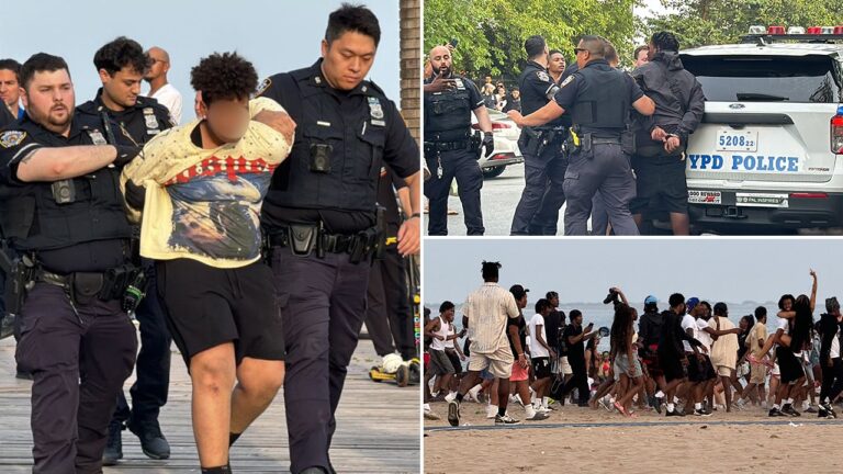 coney-island-brawls
