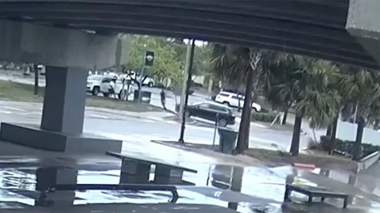 fl-hit-and-run-road-rage