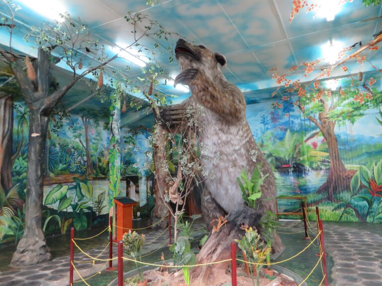 georgetown_museumgiantsloth