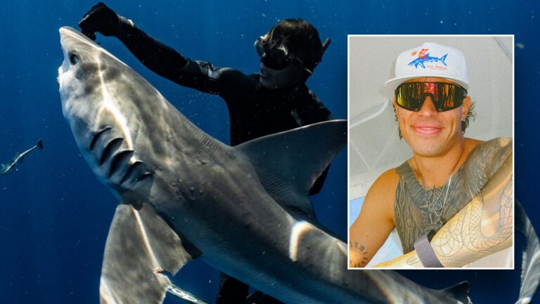 shark-tanner