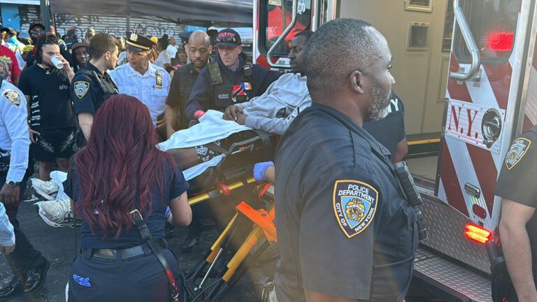brooklyn-parade-incident-011