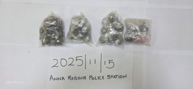 WhatsApp-Image-2025-11-17-at-4.09.05-PM