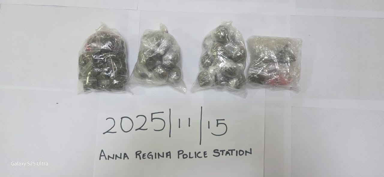 WhatsApp-Image-2025-11-17-at-4.09.05-PM