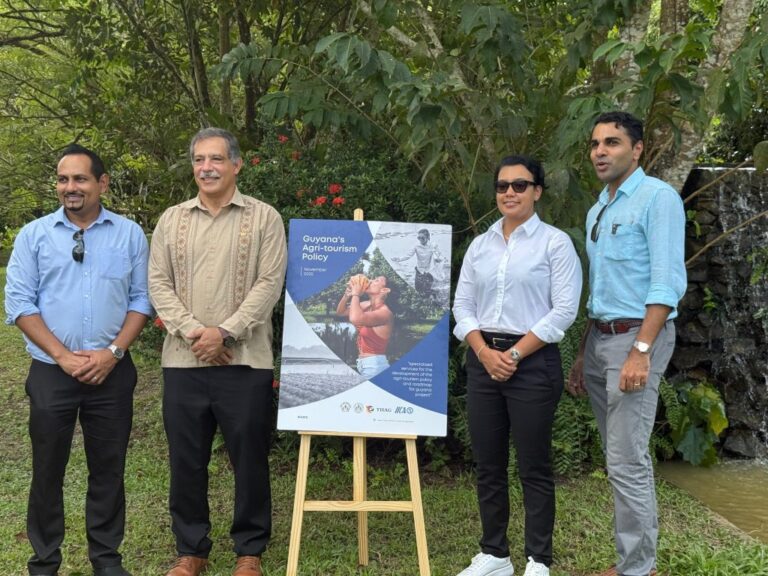 b1d3f3b4-1400-4de9-804d-7b997d19fa18-1024x768-1