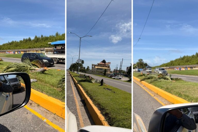 ffc1934b-d393-446a-9cb3-487bcc6e2887