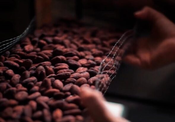 a1d21e1e3ec3426faa90b45b041cd769-1280