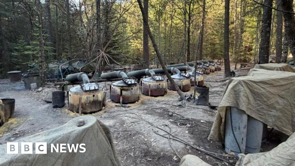 30a335b0-3d70-11f1-bb8a-374117ea6afa