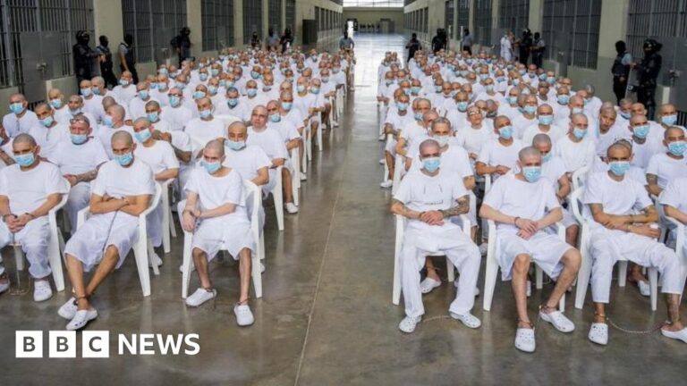 c2007f40-3d70-11f1-bb8a-374117ea6afa