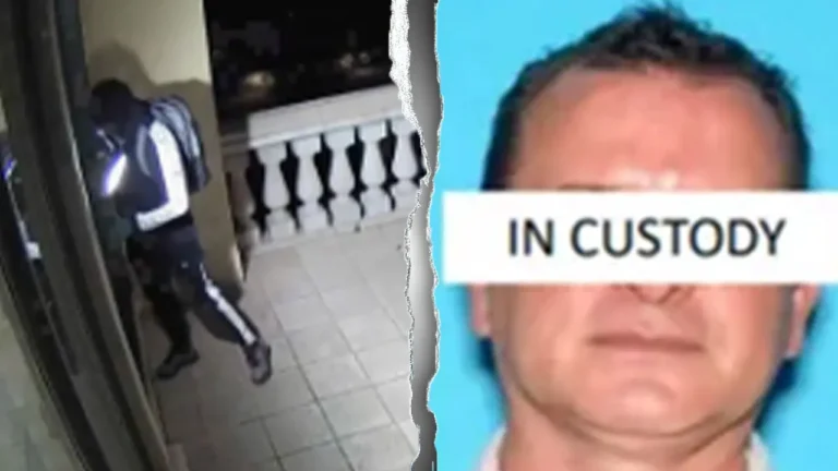 masked-thieves-california-home-fox-news-001