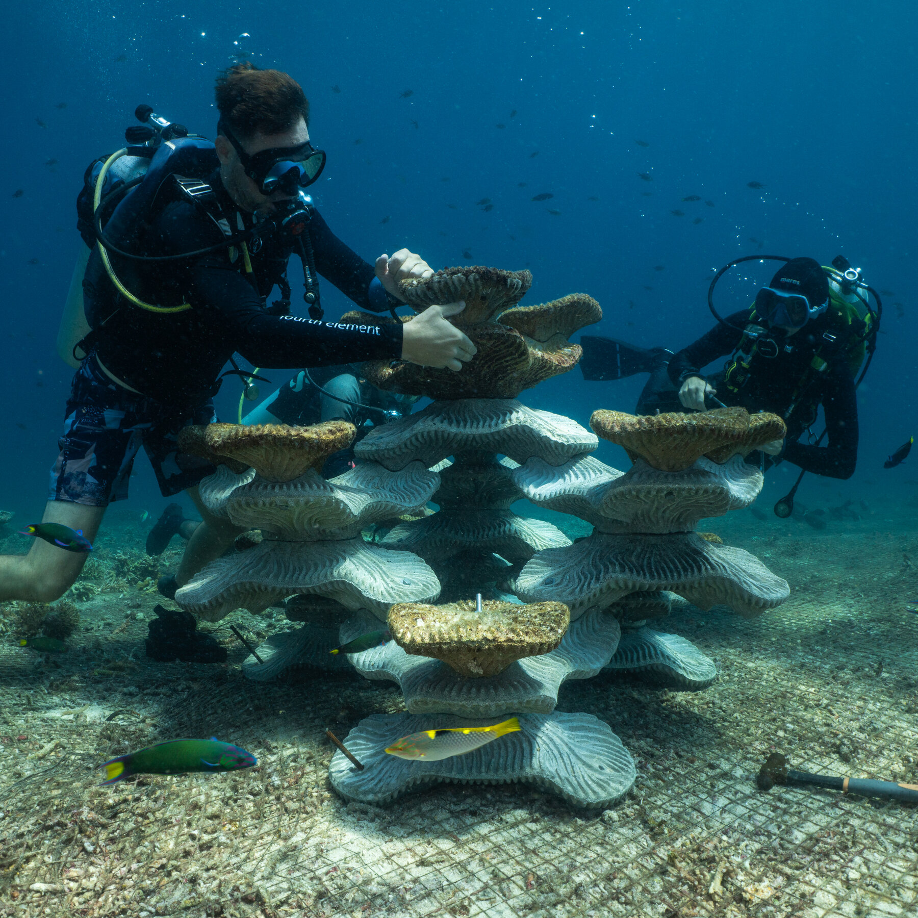 24int-malaysia-corals-01-bgkz-mediumSquareAt3X