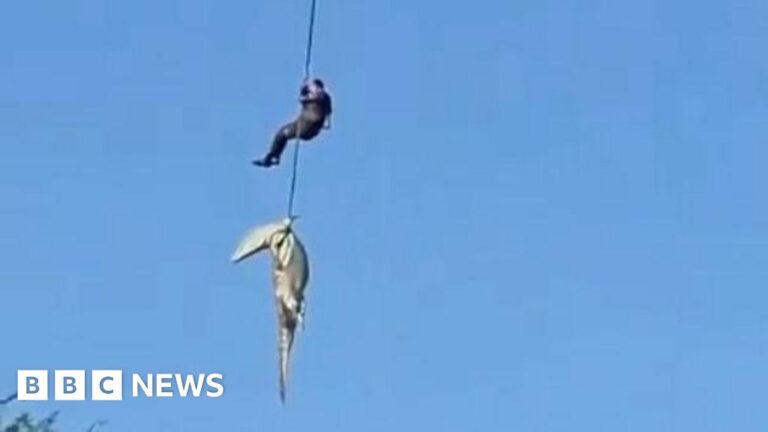 3818ab40-4707-11f1-bd22-17beaec4bfbd