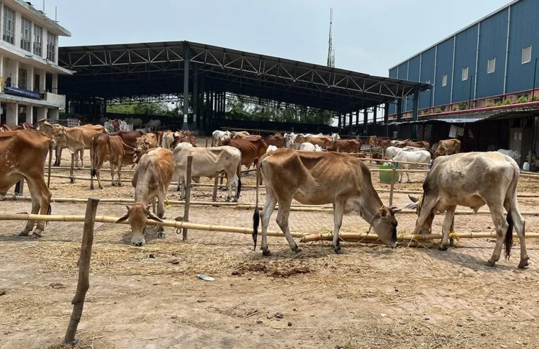 At-the-Dhulagarh-market-3-1779695979-e1779710047424