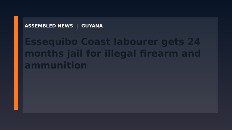 Draft: Essequibo Coast labourer gets 24 months jail for illegal firearm and ammunition