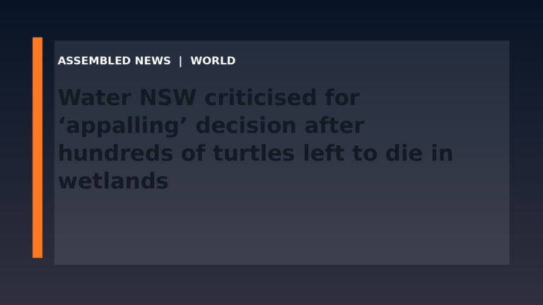 Water NSW criticised for ‘appalling’ decision after hundreds of turtles left to die in wetlands