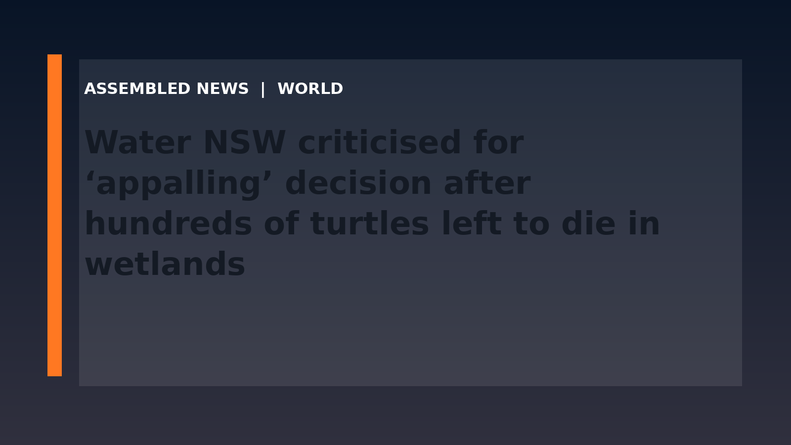 Water NSW criticised for ‘appalling’ decision after hundreds of turtles left to die in wetlands