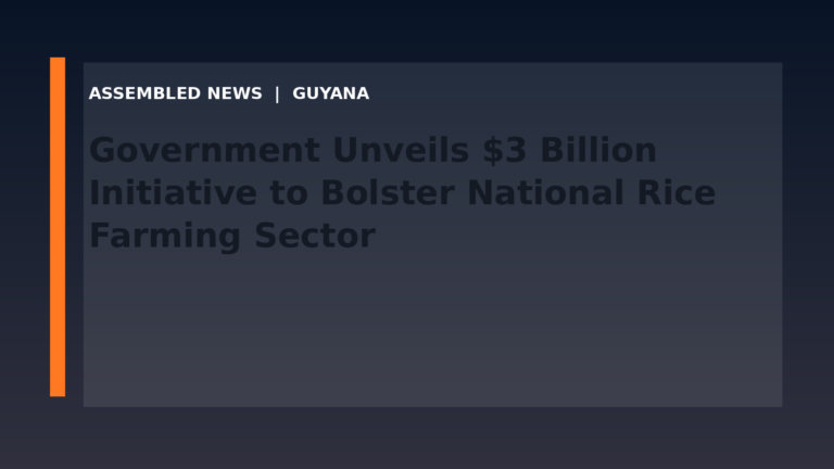 Government Unveils $3 Billion Initiative to Bolster National Rice Farming Sector