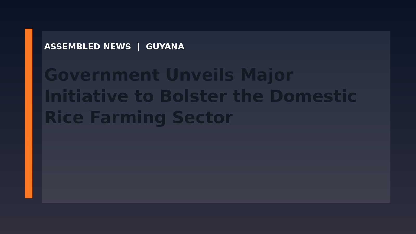 Government Unveils Major Initiative to Bolster the Domestic Rice Farming Sector
