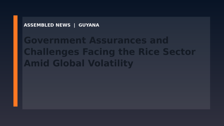 Government Assurances and Challenges Facing the Rice Sector Amid Global Volatility