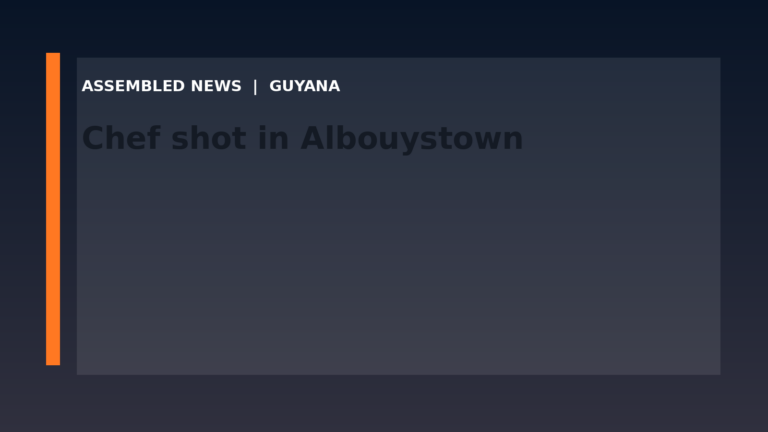 Draft: Chef shot in Albouystown