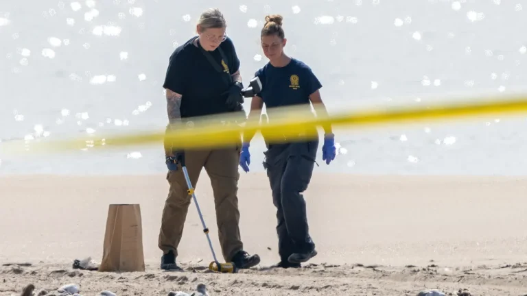 coney-island-boardwalk-tragedy