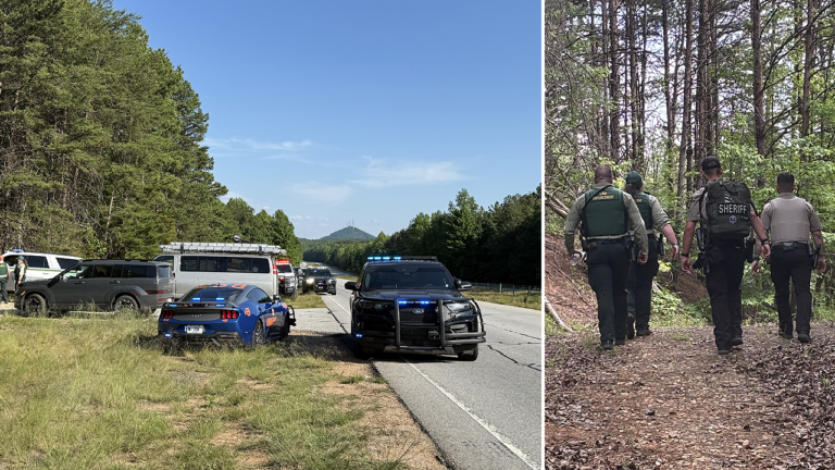 georgia-forest-crime-crackdown-illegal-immigrants-cartel-operation
