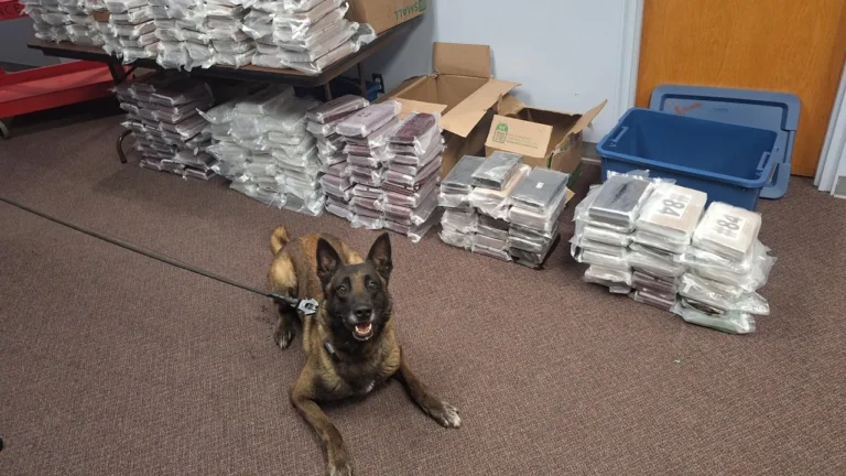 nebraska-cocaine-seizure-k9