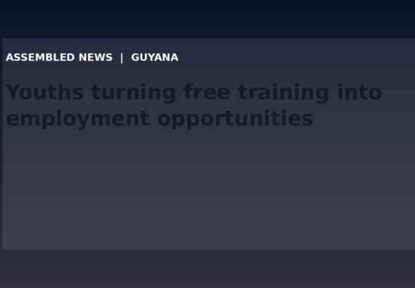 Draft: Youths turning free training into employment opportunities