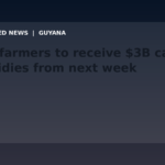 Draft: Rice farmers to receive $3B cash subsidies from next week
