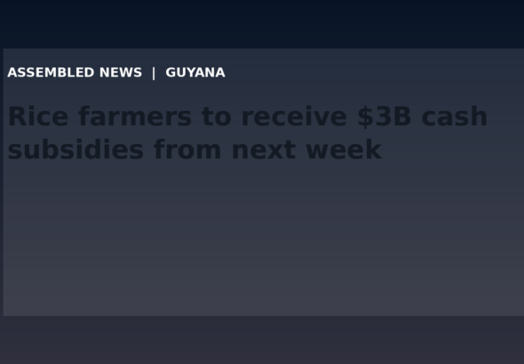 Draft: Rice farmers to receive $3B cash subsidies from next week