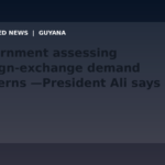 Draft: Government assessing foreign-exchange demand concerns —President Ali says