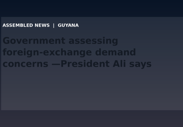 Draft: Government assessing foreign-exchange demand concerns —President Ali says