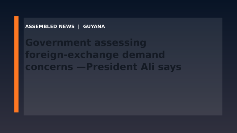 Draft: Government assessing foreign-exchange demand concerns —President Ali says